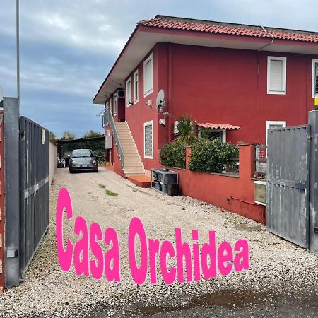 Апартаменты Casa Orchidea Фьюмичино Экстерьер фото